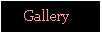 Text Box:      Gallery#