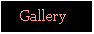 Text Box:     Gallery